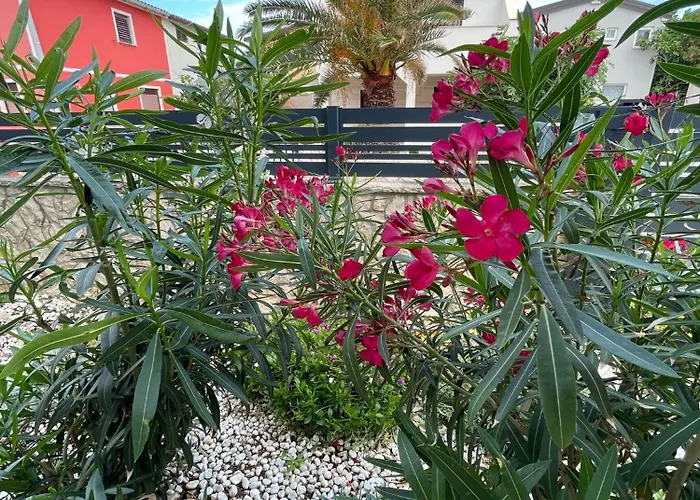 Apartment Apartmenthouse Ines Vir